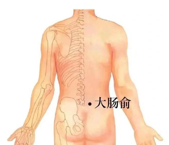 胃肠不适按那个穴位