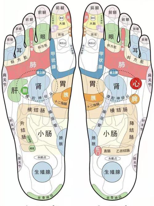 脚趾麻木按哪个穴位