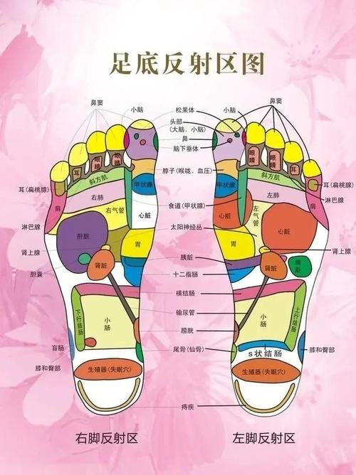 脚趾麻木按哪个穴位