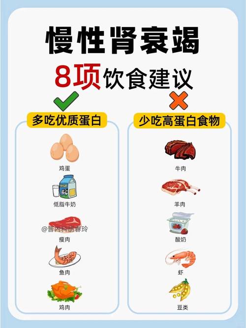 肾脏不好注意什么饮食