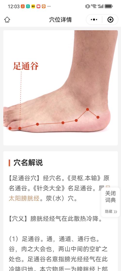 脚麻要按摩哪个穴位