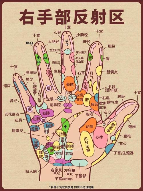 手掌侧部有哪些穴位