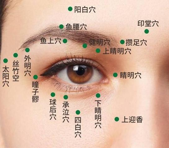 哪些穴位连接视神经