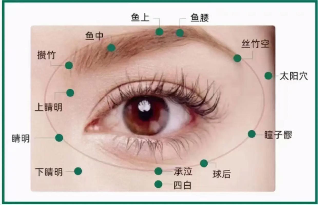 哪些穴位连接视神经