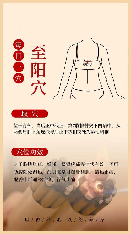 冬至养生灸那些穴位