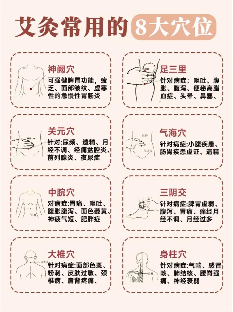 冬至养生灸那些穴位