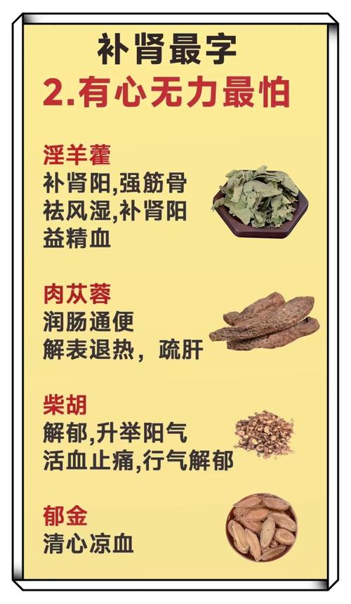 马老中医的补肾方骗局