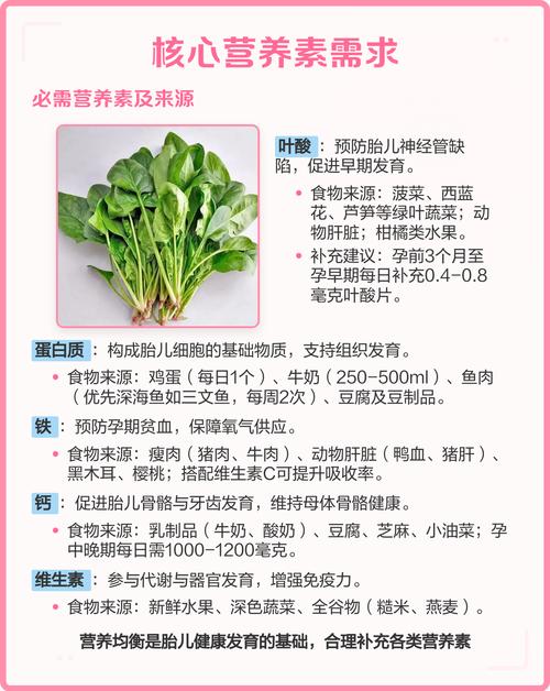 怀孕初期如何饮食搭配