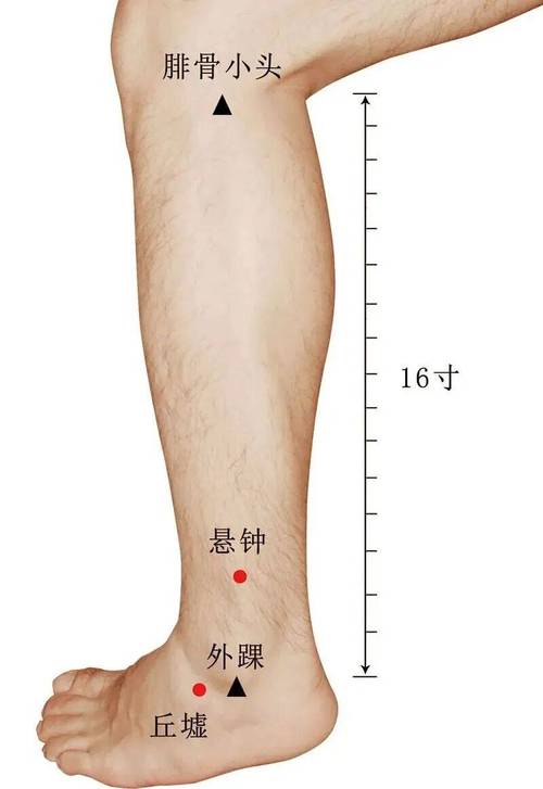 能够治疗眩晕的穴位