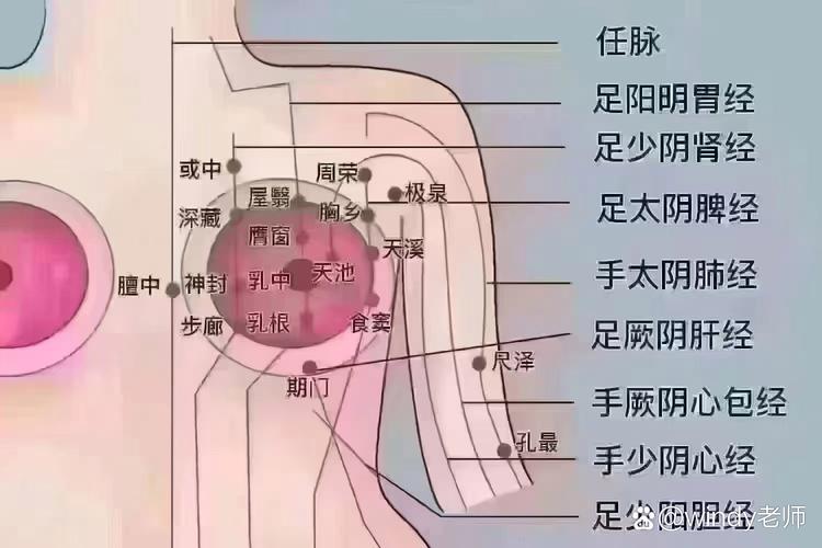 那个穴位和乳房相通