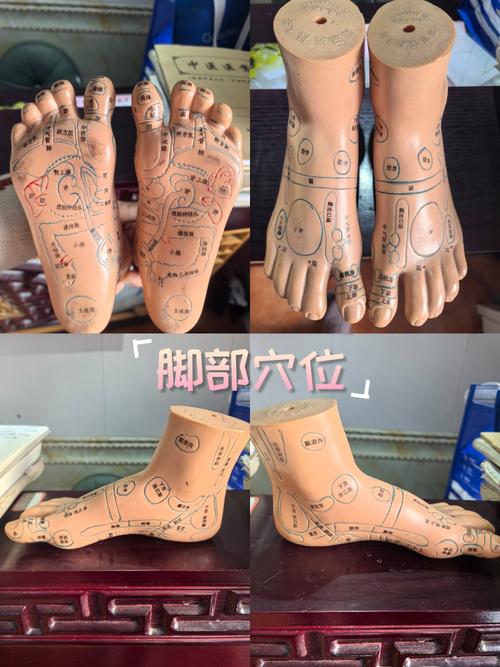 右脚抽筋按什么穴位