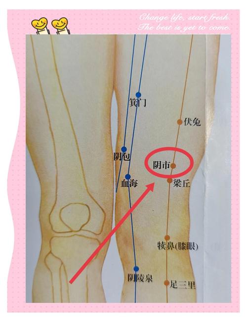 膝盖疼安神什么穴位