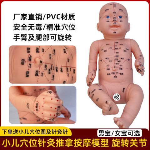 小儿推拿身体穴位图