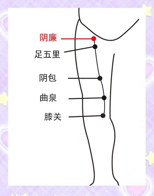 大腿根部穴位叫什么