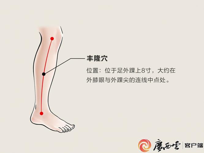 丰隆穴和阴陵泉穴位