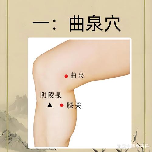 膝盖内侧有哪些穴位