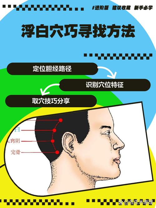 浮白穴位的准确位置