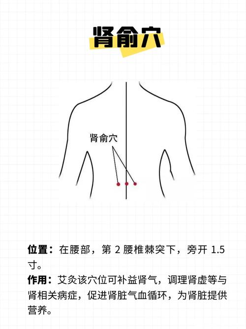 哪些穴位可以保护肾