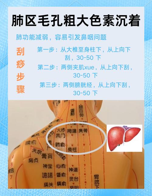 中医背部刮痧示意图1