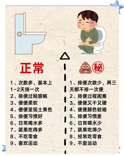 饮食调理便秘多久见效