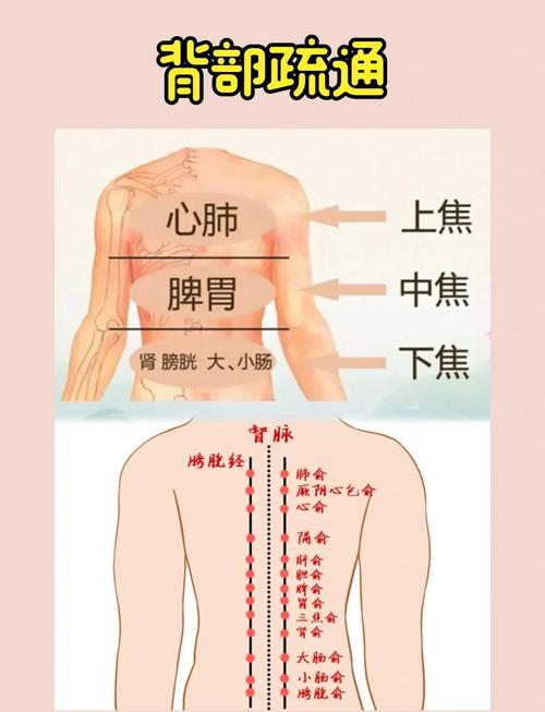 后背按摩穴位后发烧