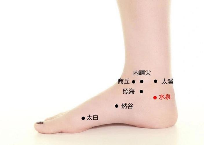 腿部脚脖子附近穴位