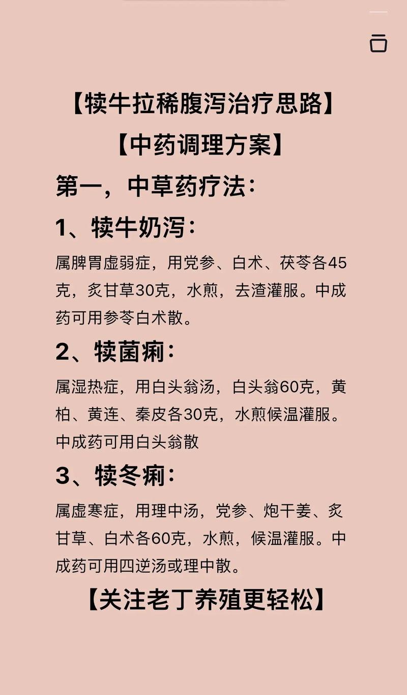 腹泻怎么调理饮食调理