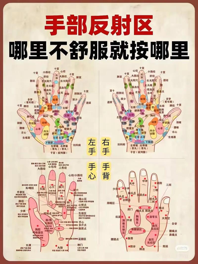 手部穴位位置及作用