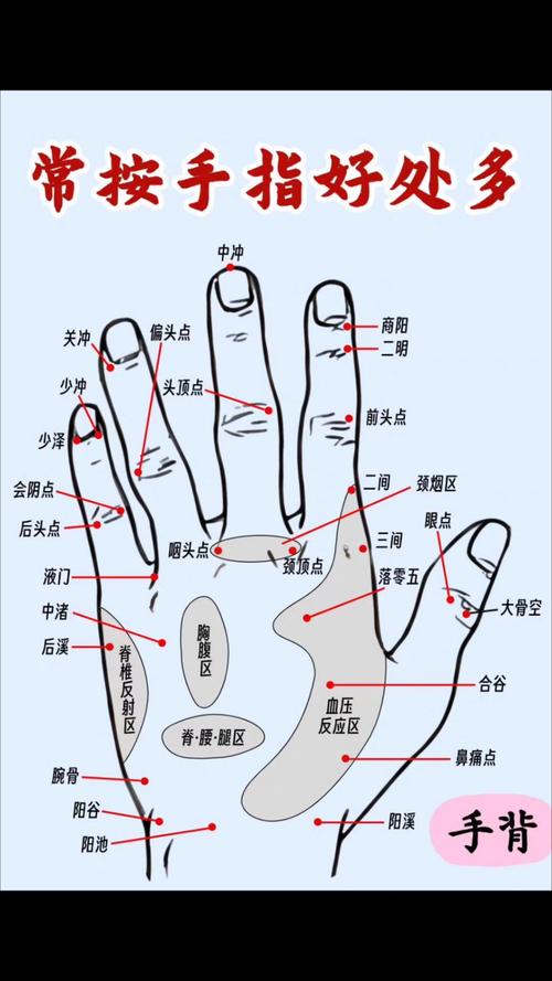 手部穴位位置及作用