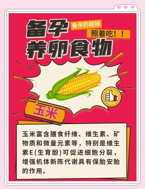 什么饮食增加受孕机率