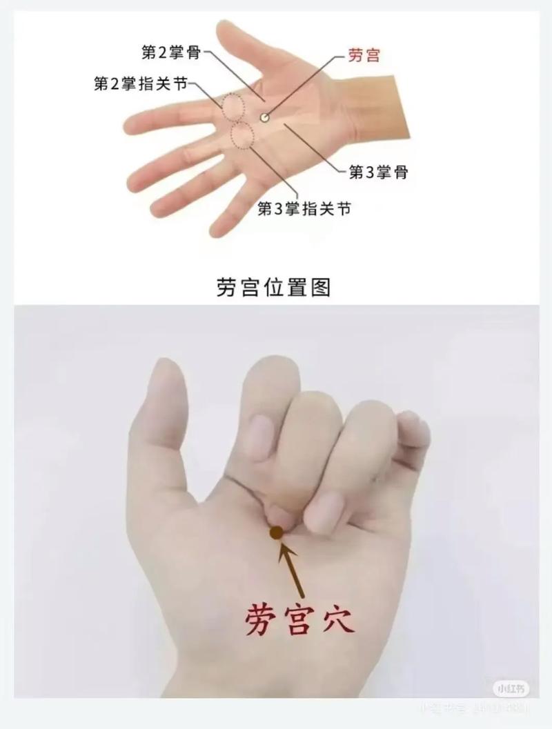 左手抖要按哪个穴位