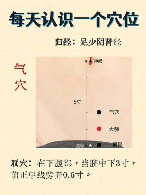 小儿疝气按什么穴位