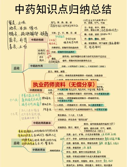 中医药法知识问答竞赛