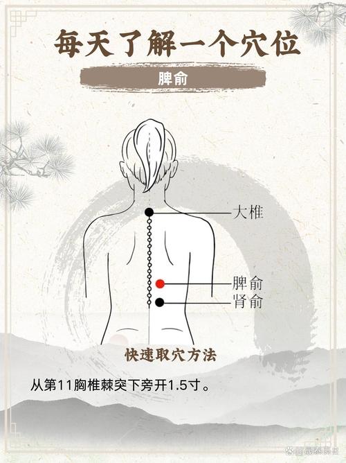 男人补气揉那些穴位