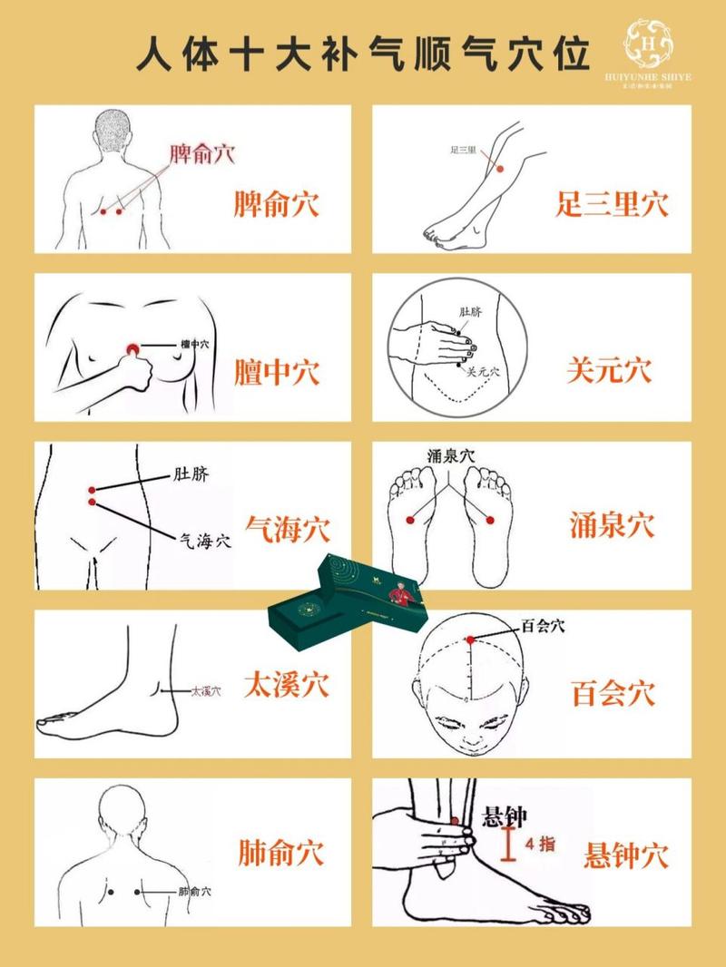 男人补气揉那些穴位