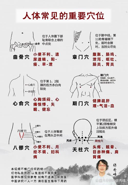 人体常用的穴位按摩