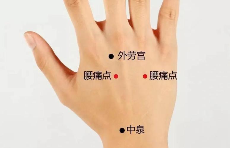 治疗腰痛的经验穴位