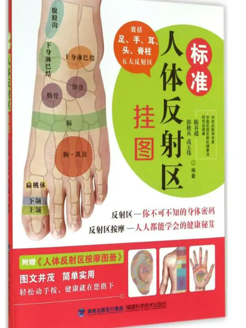 哪个穴位管下身淋巴