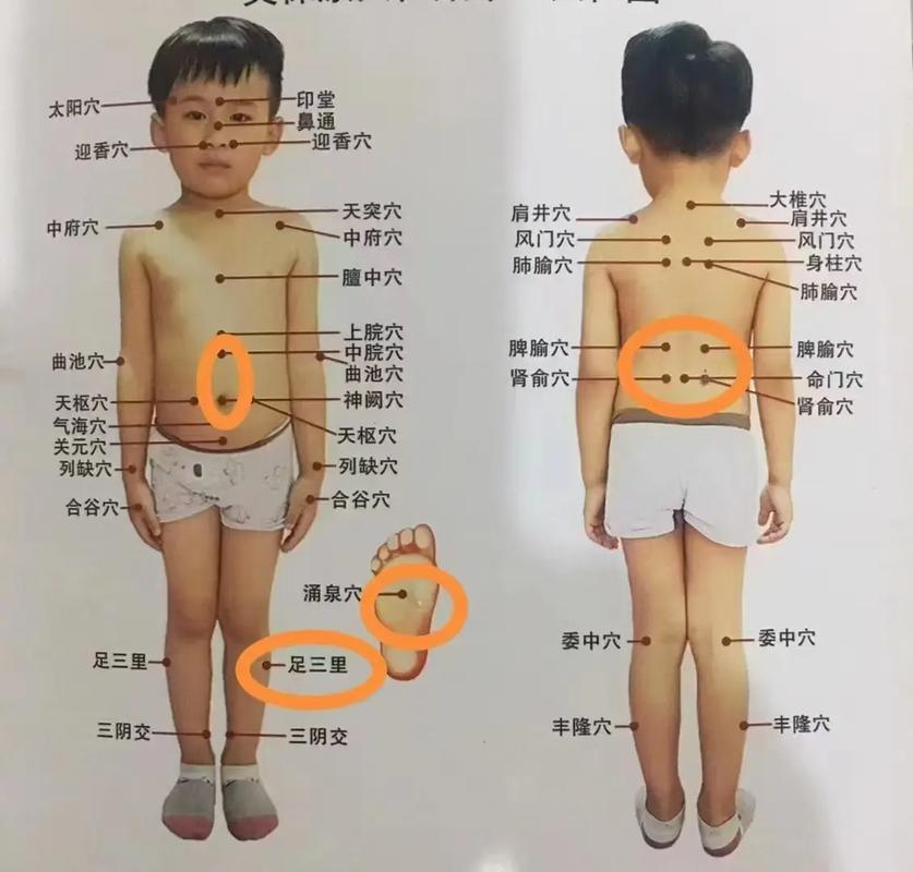 小儿生长贴相关穴位