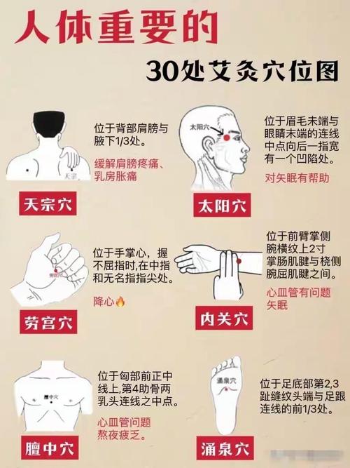 关节 艾灸穴位图解