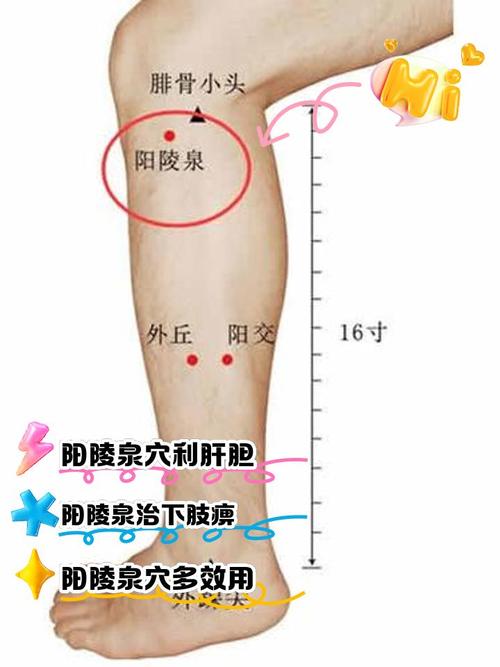 关节 艾灸穴位图解