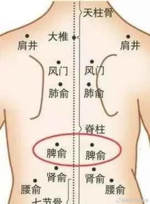 小孩脾虚灸什么穴位