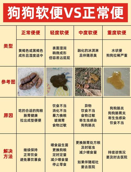 大便先硬后软中医解释