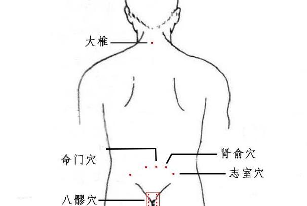 屁股胀针灸什么穴位