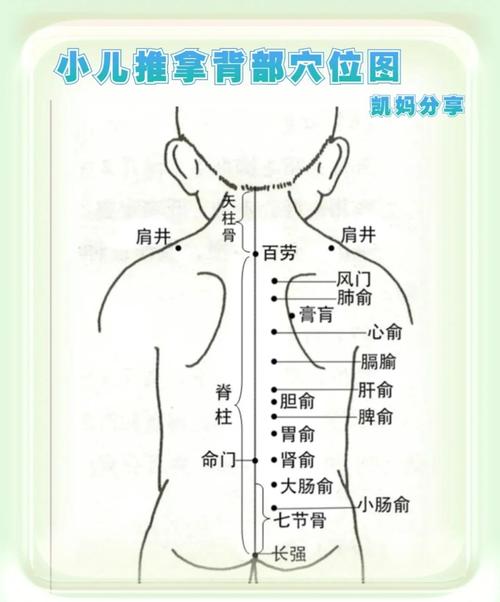 宝宝脾虚按哪个穴位