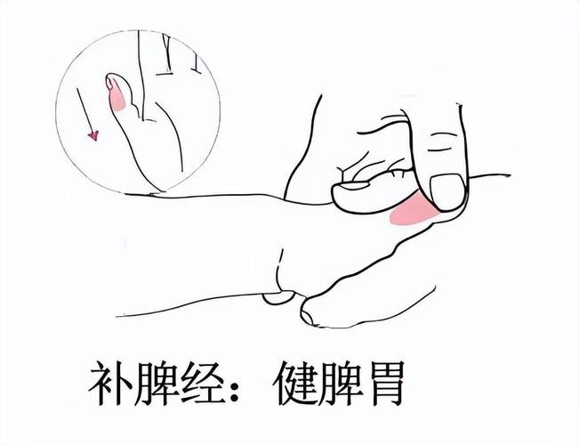 宝宝脾虚按哪个穴位