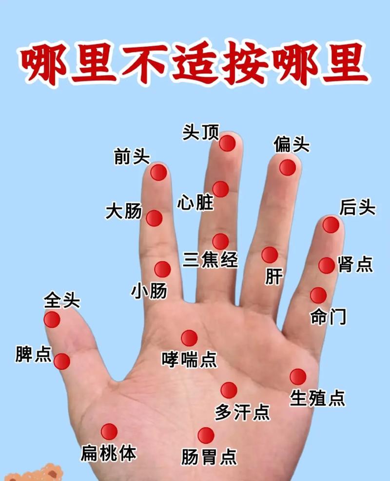 手掌分支手指的穴位