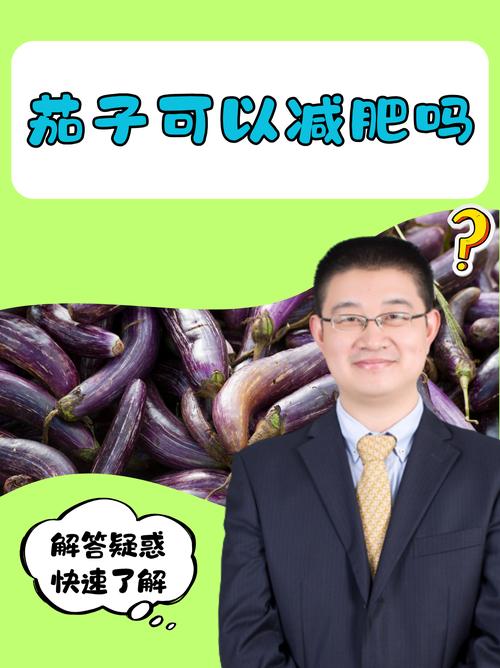 生酮饮食可以吃茄子吗