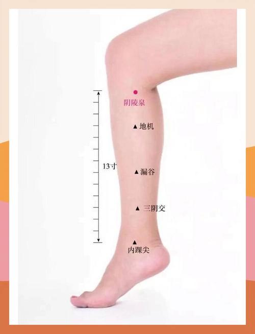 滋阴效果特好的穴位