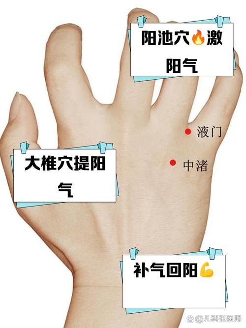 滋阴效果特好的穴位